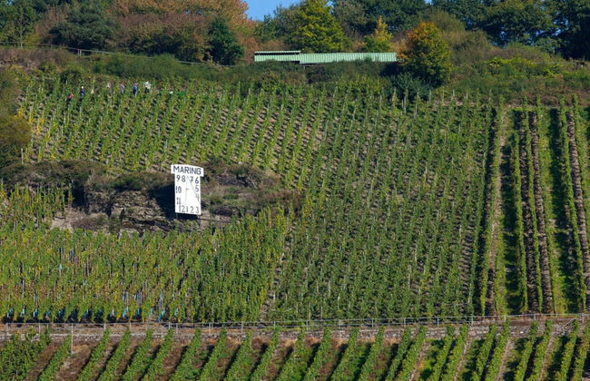 Holiday Home Moselle Valley - Photo 10