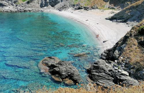 Le Palme Holidays - Foto 70