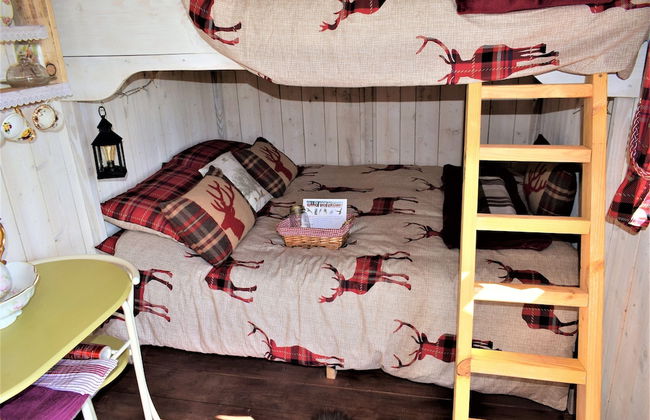 Meadow Shepherds hut - Photo 10