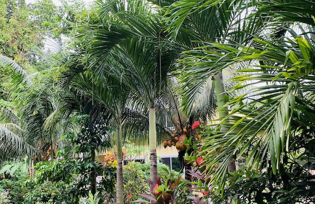 OSoleil Guesthouse - Foto 52