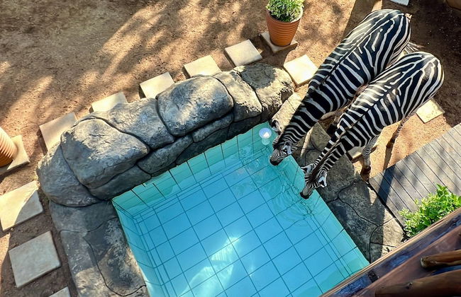 Kruger Kumba - Mugwenzi - Photo 45