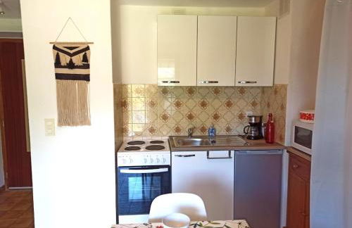 Studio en rez de jardin , vue montagne - Foto 5