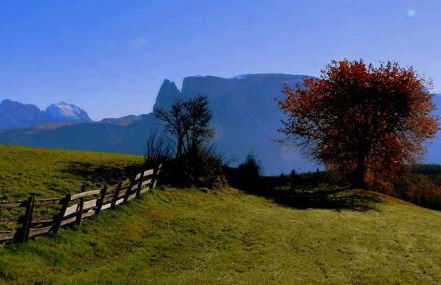 Appartments Neuhof - Photo 62