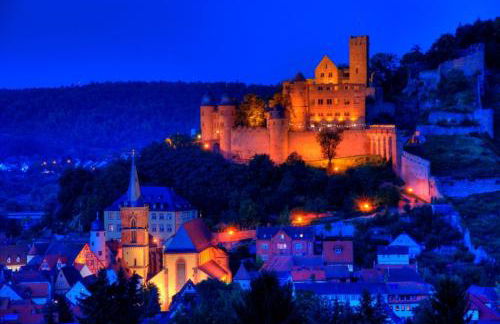 Mainzimmer Business Appartment - Monteurwohnung mit Burgblick - Foto 1