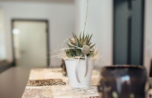 Die Gönothek - Ferienwohnungen - Foto 43