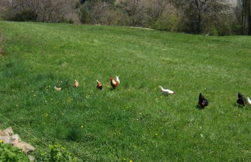 Casa Rural Basajarau - Photo 38