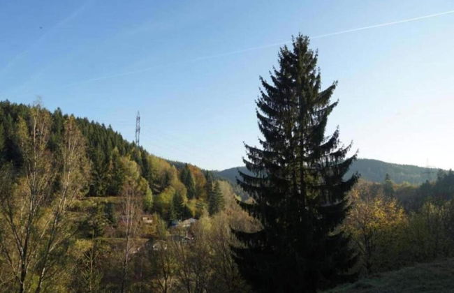 Comely Holiday Home in Guntersberge Near Forest - Foto 58