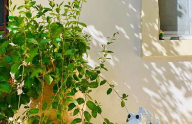 Lorantina Luxury Sea View House with Starlink WiFi near Barbati & Ipsos - Photo 48