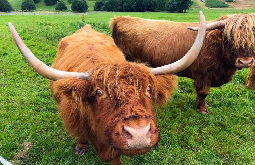 Apartments Fichtelberger Blick - Foto 78