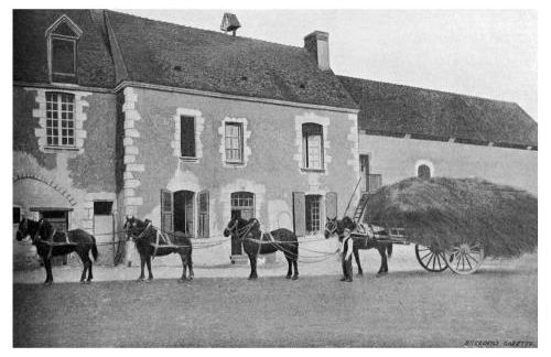 Manoir du Bois Joly - Gîte du Fournil - Foto 49