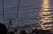 Ajò Faci a Mari - Foto 20