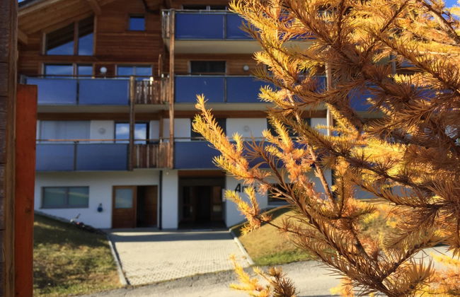 Amici 1. OG West - Foto 6