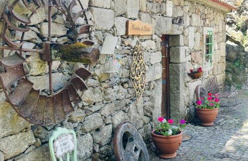 Moinho de Brião - Foto 10