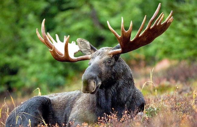 6 Person Holiday Home in ED - Foto 6