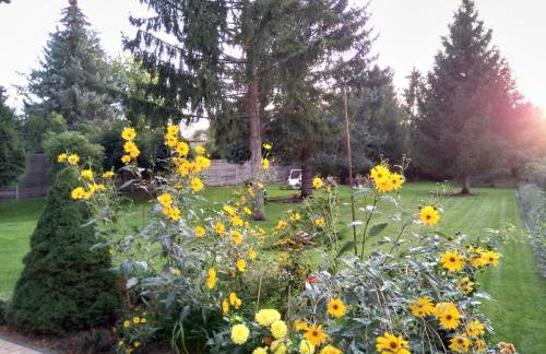 2-Zimmer-Ferienwohnung 55 qm, bei Berlin - Foto 17