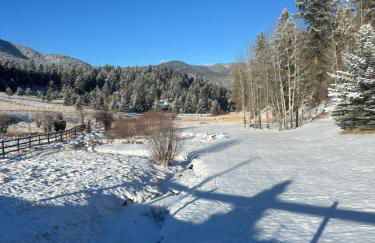 Modern barn by the creek - Foto 5