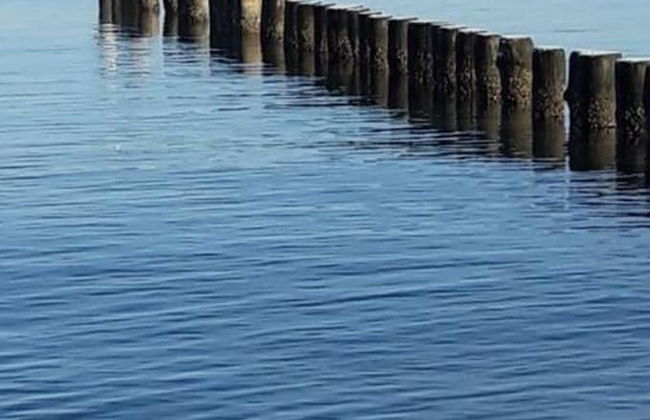 Wave Rider Comfortable Holiday Residence - Foto 9