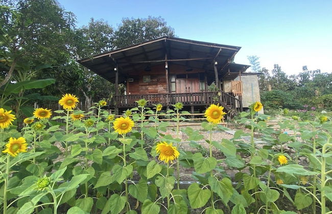 Nokkamin Home Chiang Dao - Photo 41