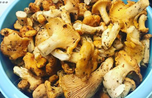 Agroturystyka nad jeziorem Silickim Ilińscy - Foto 27