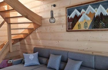 Żabie Dworki Witów Luxury Chalets & SPA - Foto 77