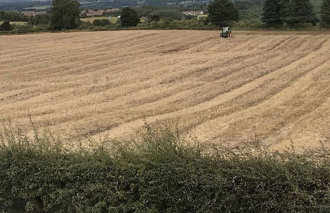 1 Twizell Lane - Foto 40