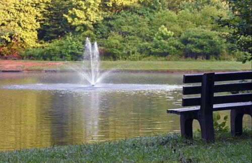 Peaceful Modern Chalet in Ellijay - Foto 45