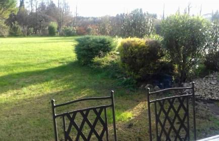 Pervenches - Photo 1