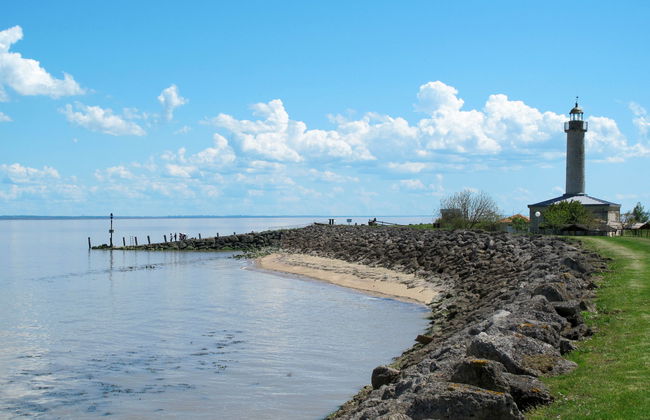 Mon Poussin - Photo 29