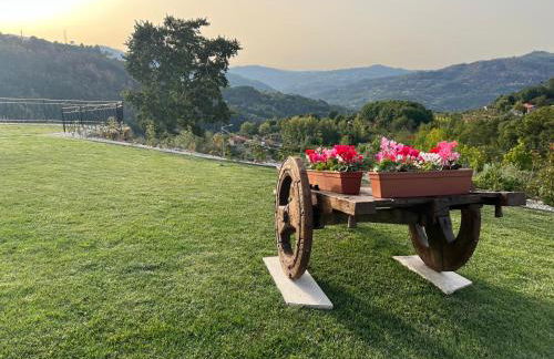 House with saltwater pool - Charming in the Douro Valley - Foto 23
