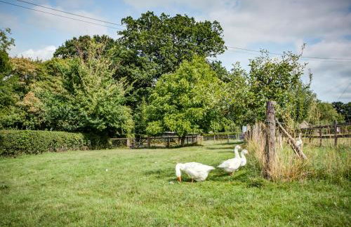 Little Barn - Foto 28