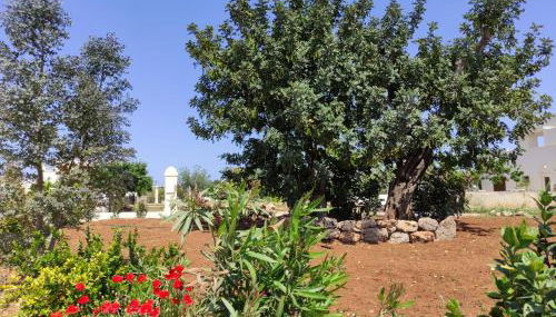 Residenza "I Tre Carrubi " - Foto 3