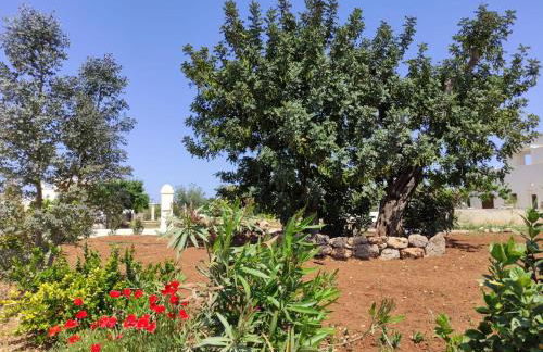 Residenza "I Tre Carrubi " - Foto 3