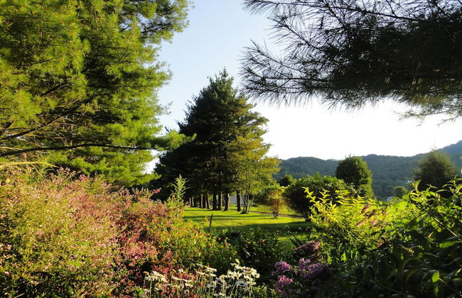 VCI - Elderberry Overlook - Foto 32