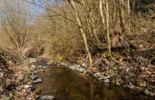 Fewo Jaeger - Foto 20