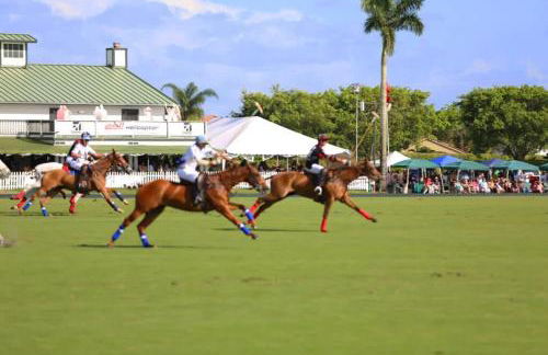 Mango Haus - Savor Tropical Living by a Lush Lagoon Pool - Foto 22