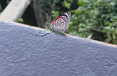 Iguassu Falls Refuge - Cataratas do Iguassu - Paraguai - Argentina - Foto 36