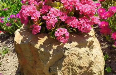 Finikas Rooms - Foto 28