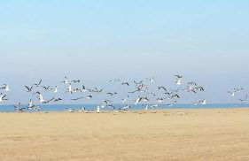 apartamento en el parque natural del cabo de gata - Foto 19