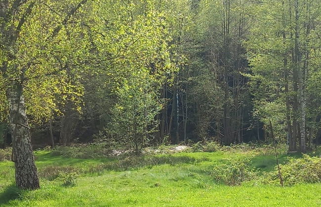 Nature Retreat in Lorraine - Foto 39