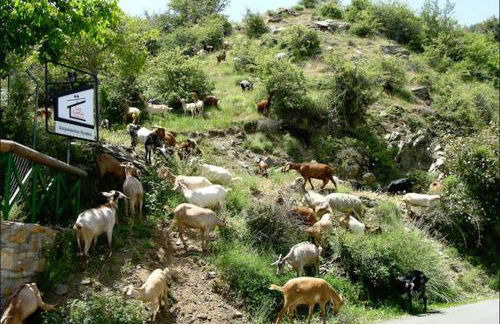 Casas Rurales Telecabina Las Catifas - Photo 17