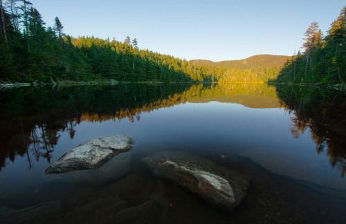 Smuggler's Notch Mountain House with hot tub & river - Foto 71