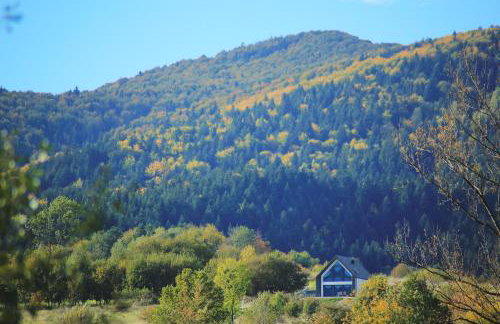 Beskid Island - Foto 4