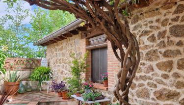 El Atalanto - Foto 3, Garden, Garden view