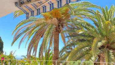 Apartamento Bella Vista - Foto 1, Garden view