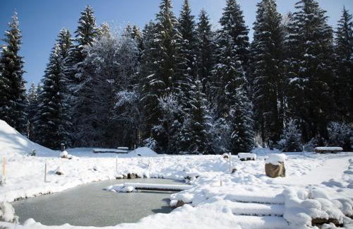 Haus am Waldpark - Foto 19