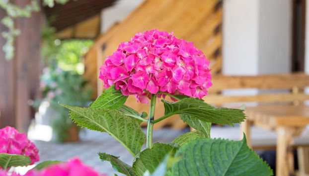 Apartments Lake Plitvice - Foto 2