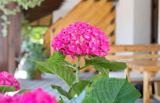 Apartments Lake Plitvice - Foto 2