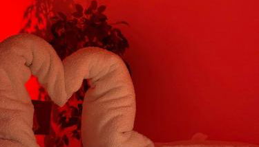 Corina Secret Rooms - Foto 5