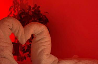 Corina Secret Rooms - Foto 5