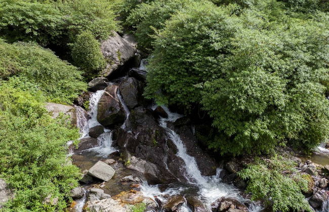 Nirvana Dhar Nature Resort - Foto 18